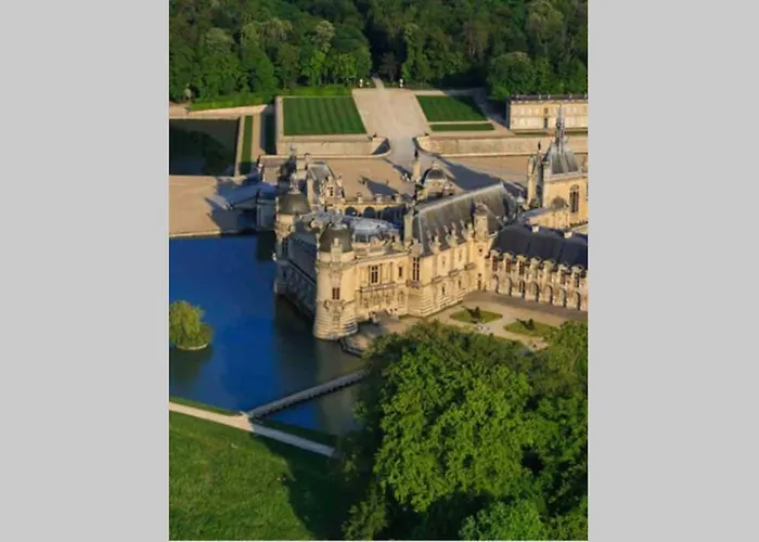 La Tete Dans Les Etoiles *