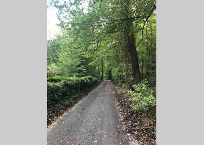 La Tete Dans Les Etoiles Apartment Aumont-en-Halatte